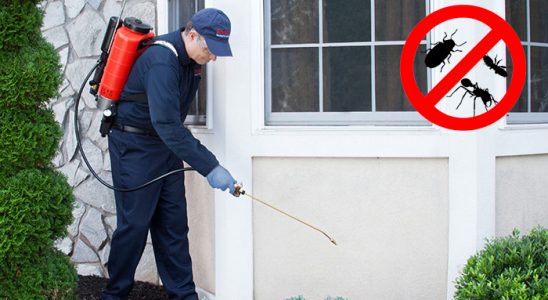 Çaldıran Hamam Böceği İlaçlama böcek ilaçlama ve haşere kontrolü — ilaclama-tr.com